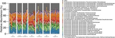 Differences in Gut Microbiome Composition Between Sympatric Wild and Allopatric Laboratory Populations of Omnivorous Cockroaches